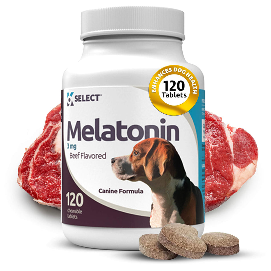 3 mg de mélatonine de bœuf