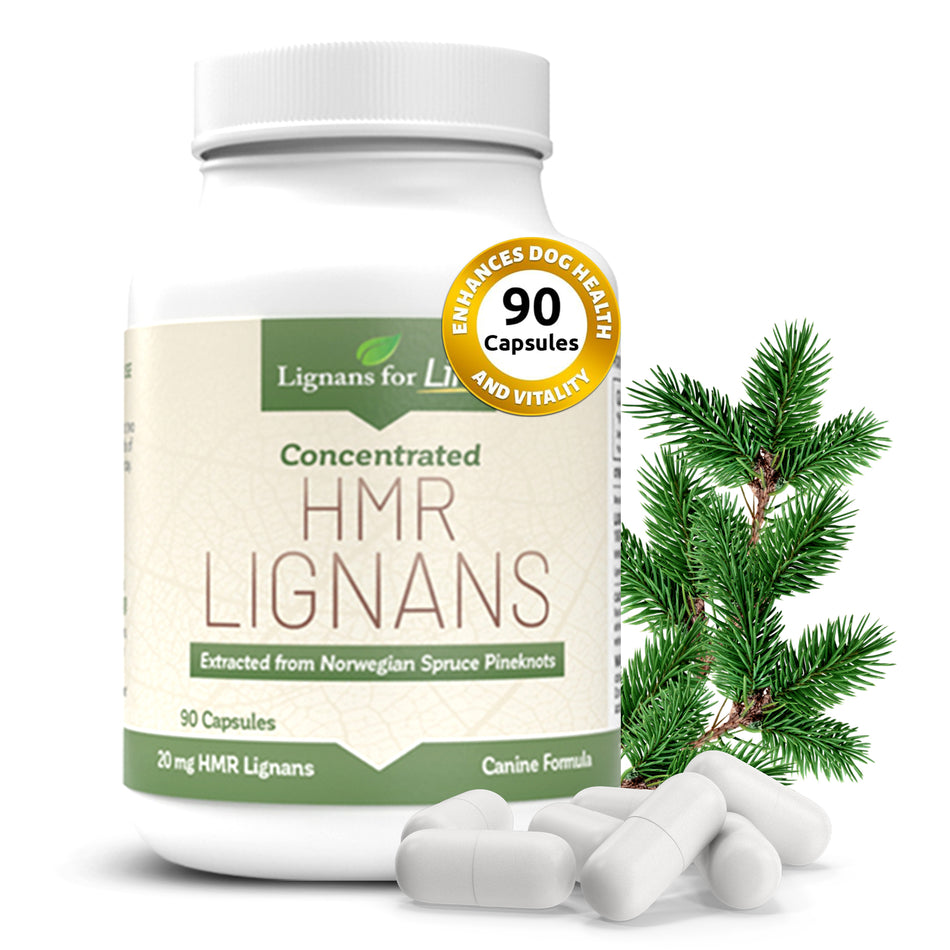 Lignanes HMR 20mg