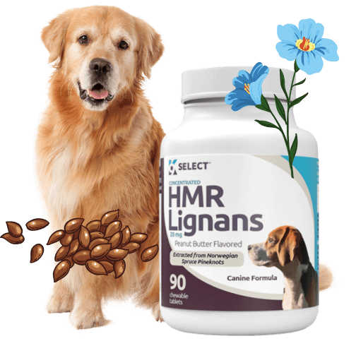 HMR Lignans supplement for dogs