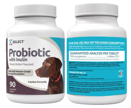 Probiotic supplement for dogs