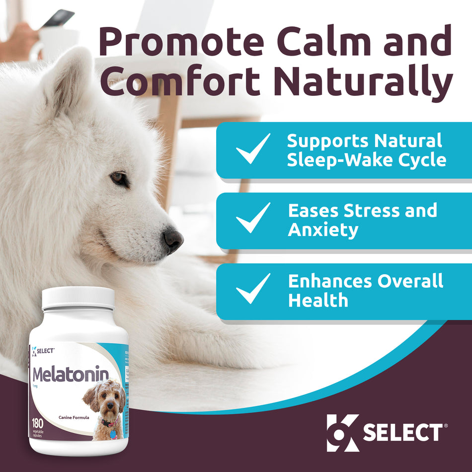 K9 Select 1mg Melatonin