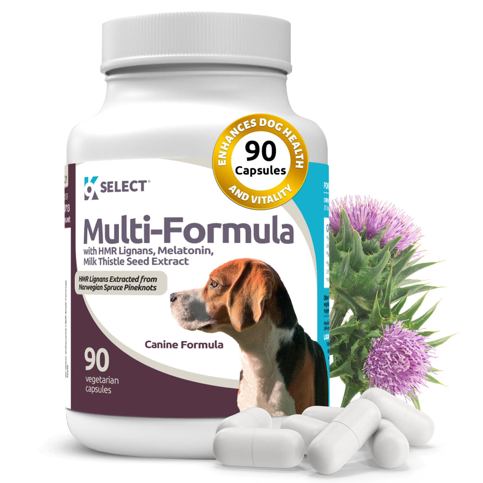 HMR Multi-Formula 20mg Capsules