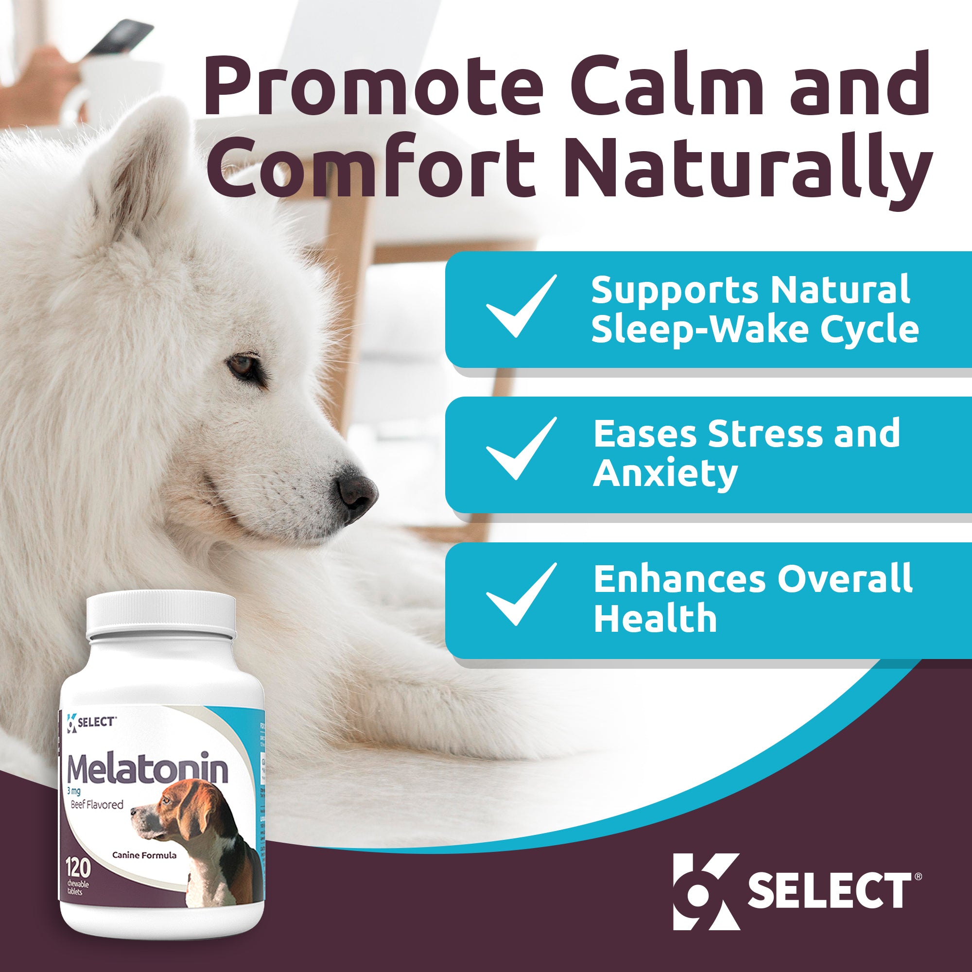 Melatonin for dogs hotsell