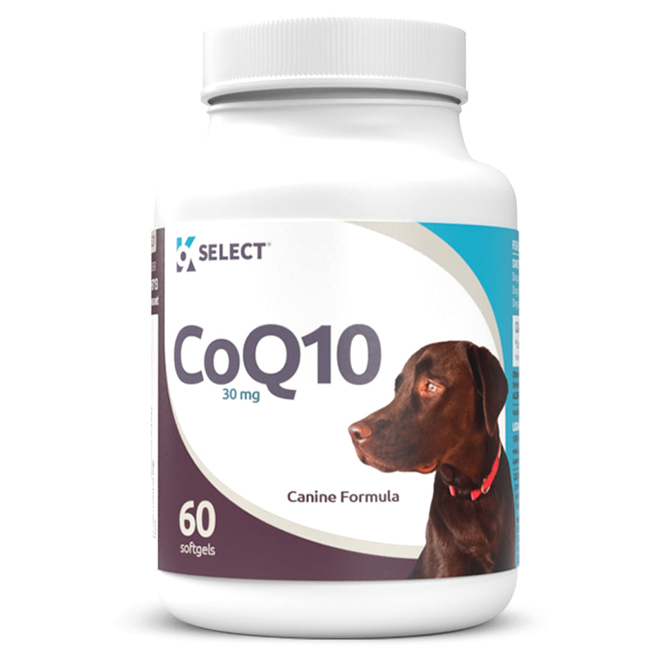 CoQ10 para perros