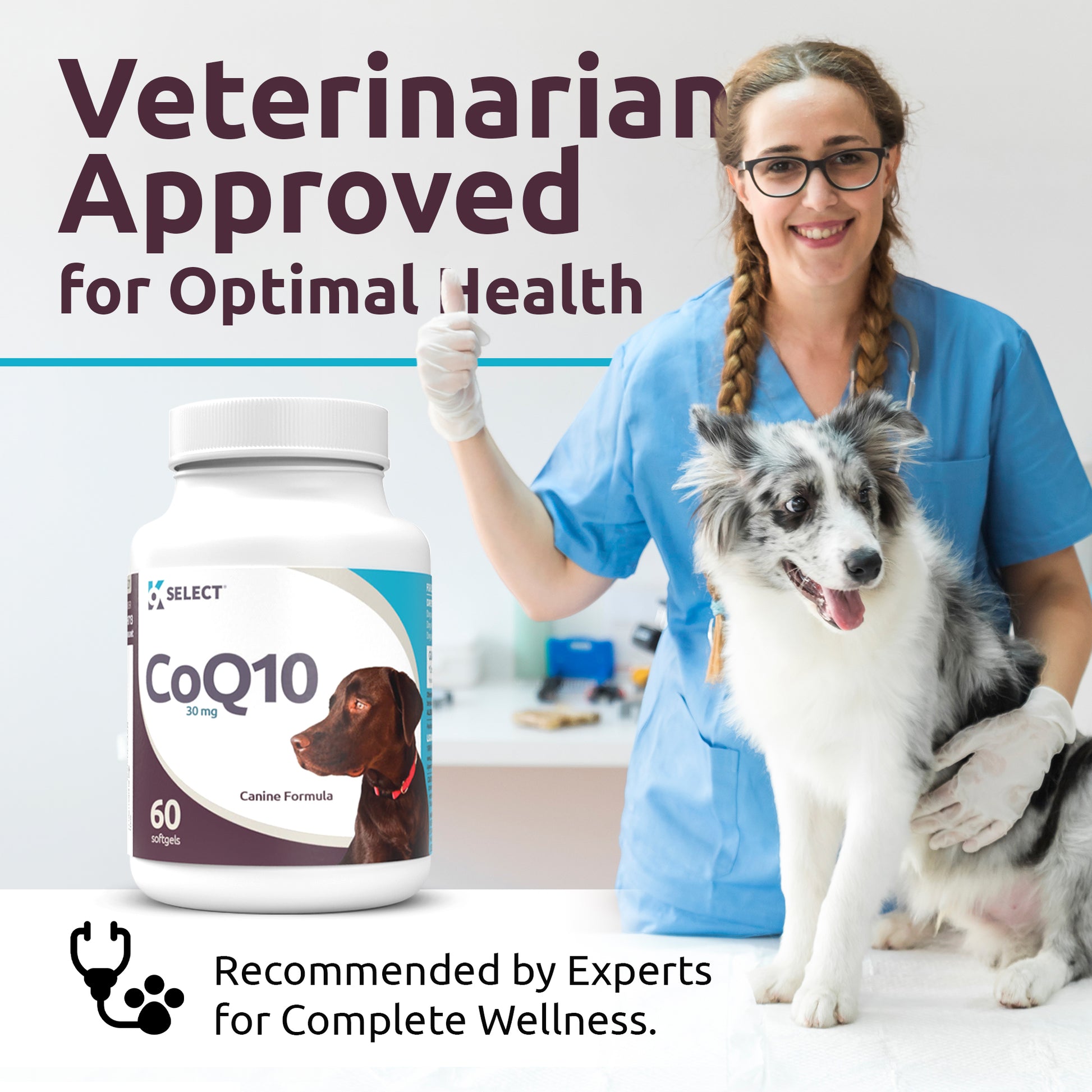 product-1-1 Buy K9 Select CoQ10 10mg For Dogs | Lignans For Life | Buy Lignans Online