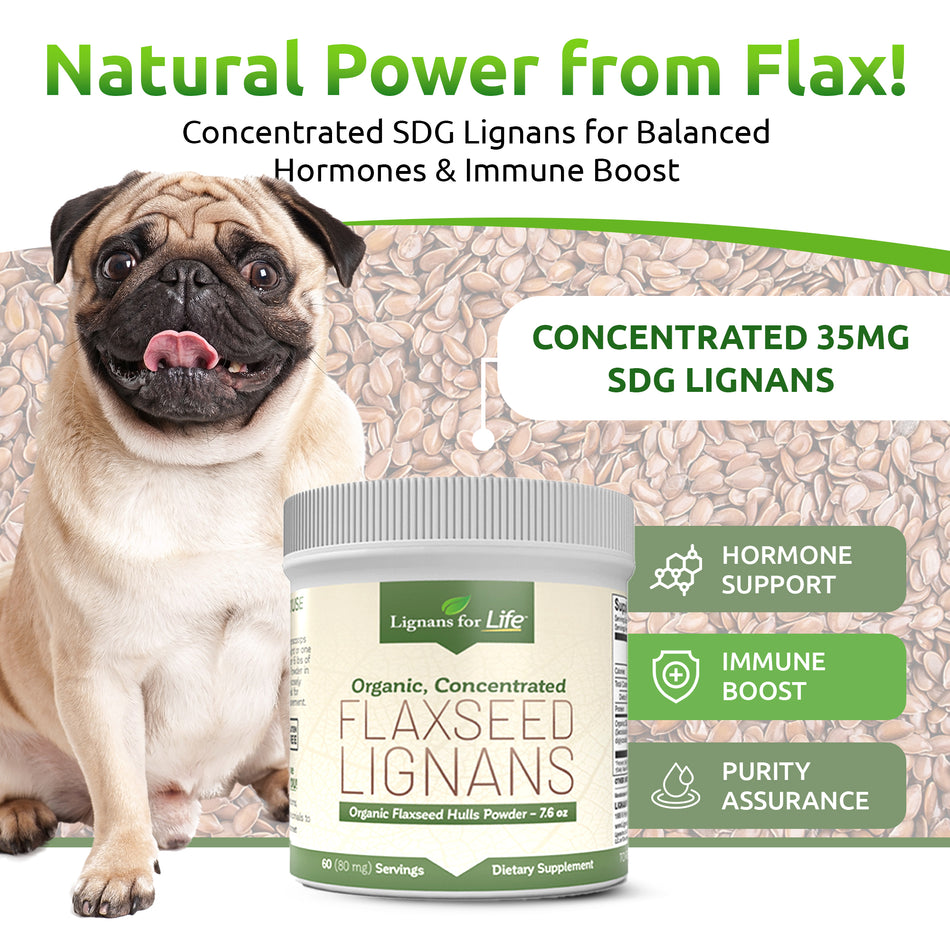 Flaxseed Hulls Powder