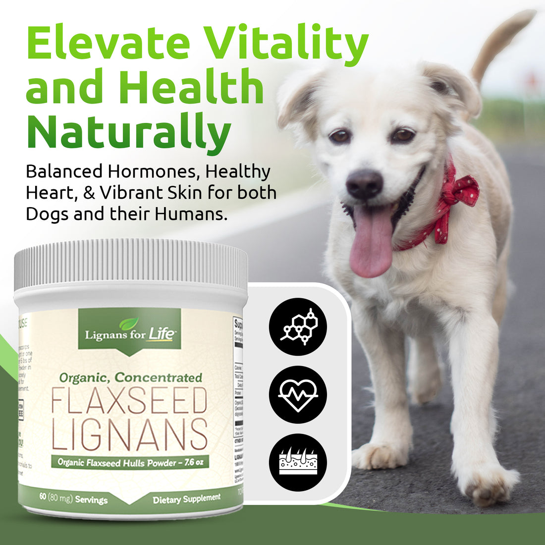 Buy Concentrated Flaxseed Hulls Powder For People or Dogs | Lignans For ...