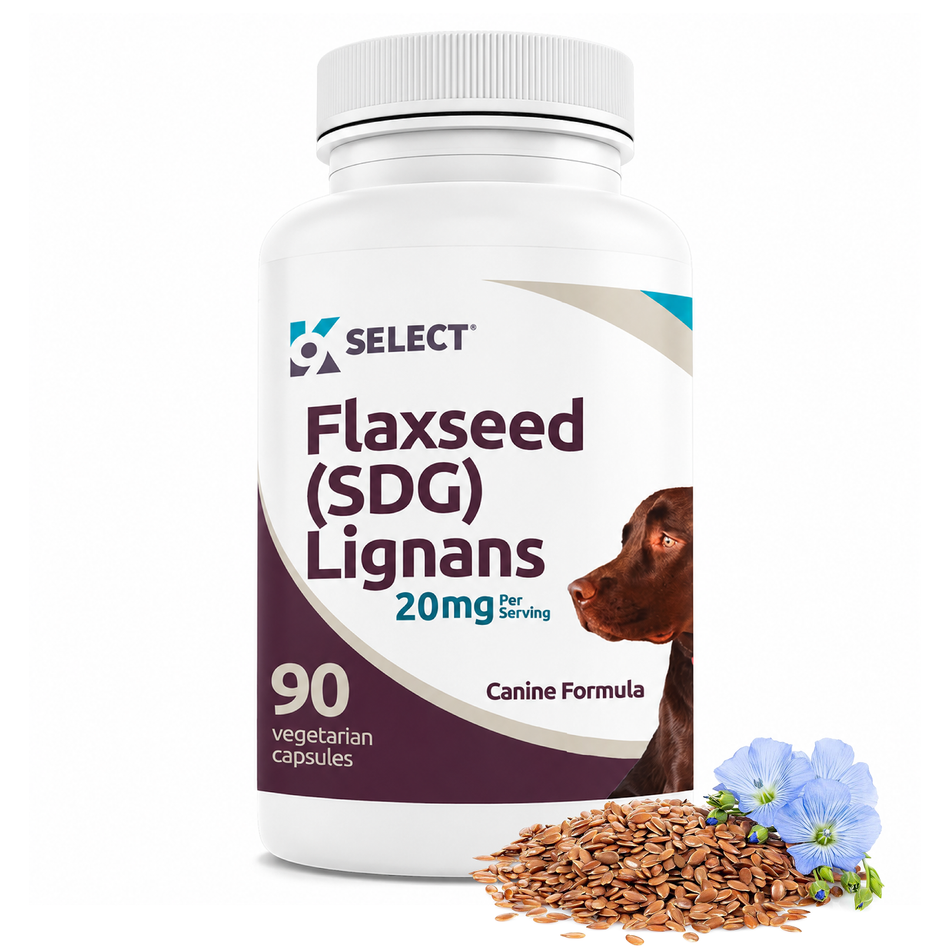 Flaxseed (SDG) Lignans 20mg | Canine Formula | 90 Vegetarian Capsules