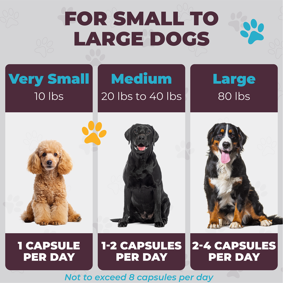Flaxseed (SDG) Lignans 20mg | Canine Formula | 90 Vegetarian Capsules