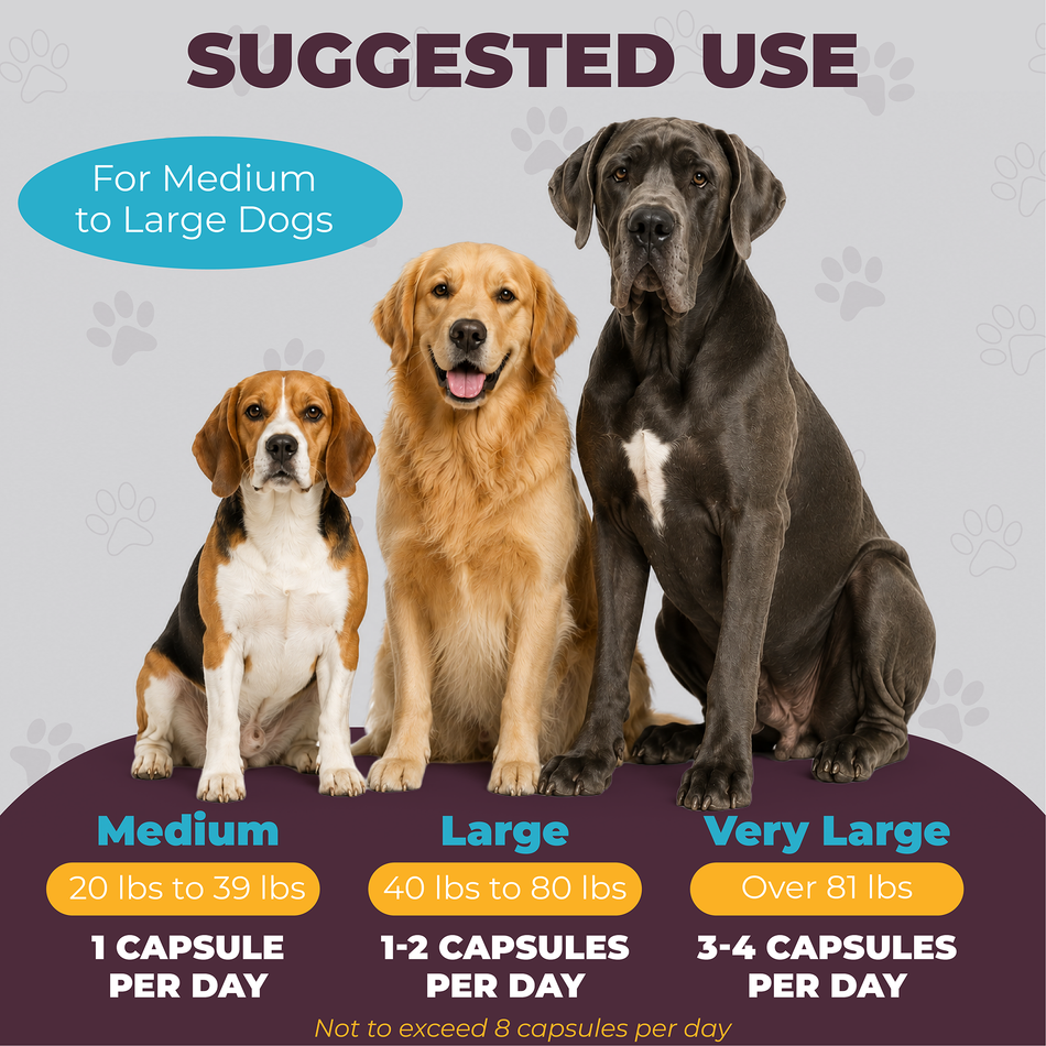 Flaxseed (SDG) Lignans 40mg | Canine Formula | 90 Vegetarian Capsules