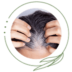 Hair Health