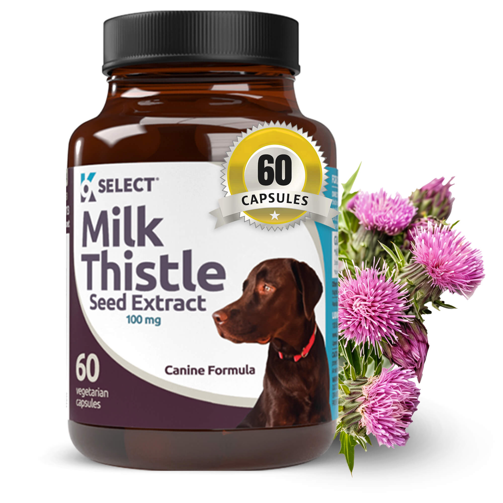 Milk thistle for dogs australia hotsell