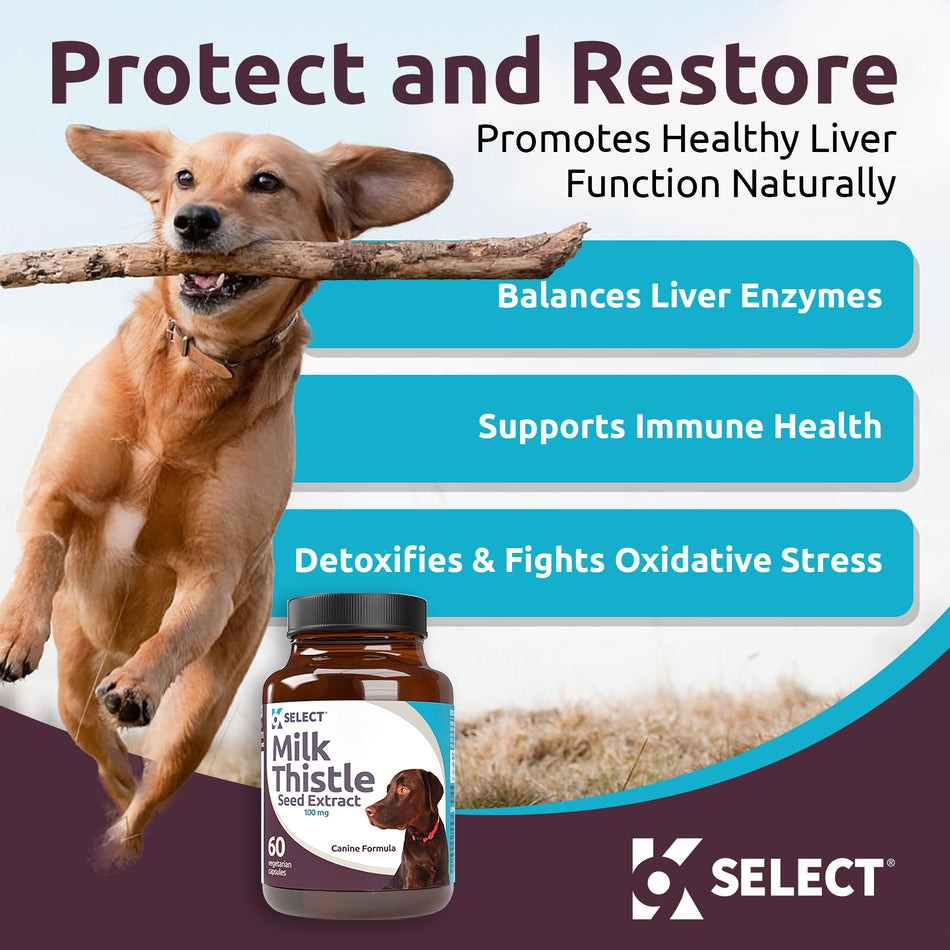 K9 Select Milk Thistle