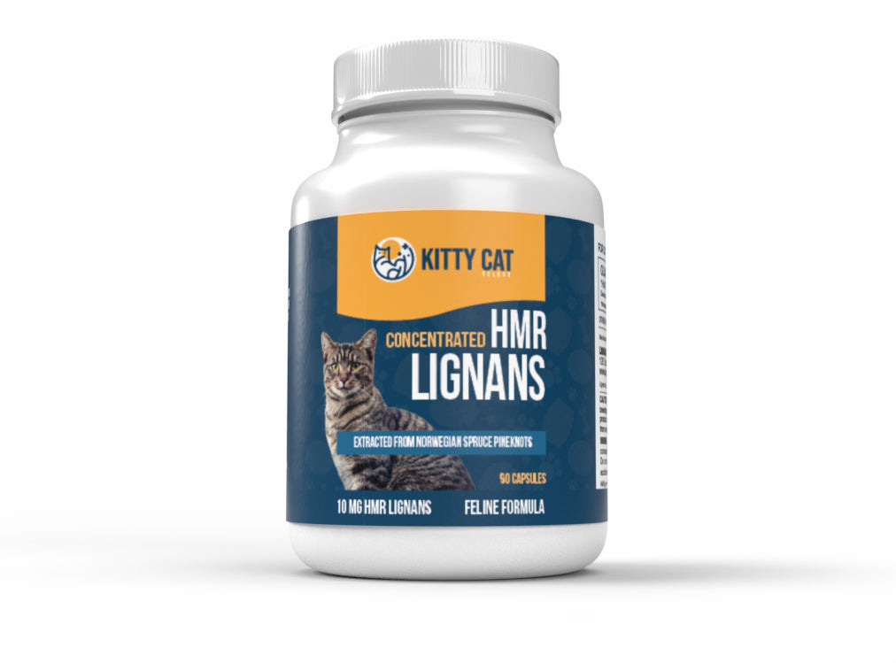l-carnitine supplements for cats Taurine | Feline Wellness Support Kitty Cat Select - 1MG