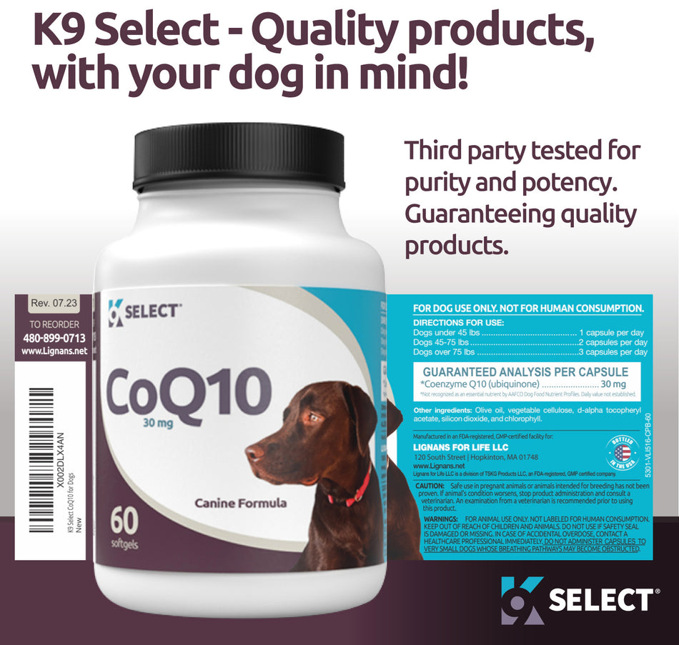 CoQ10 for Dogs