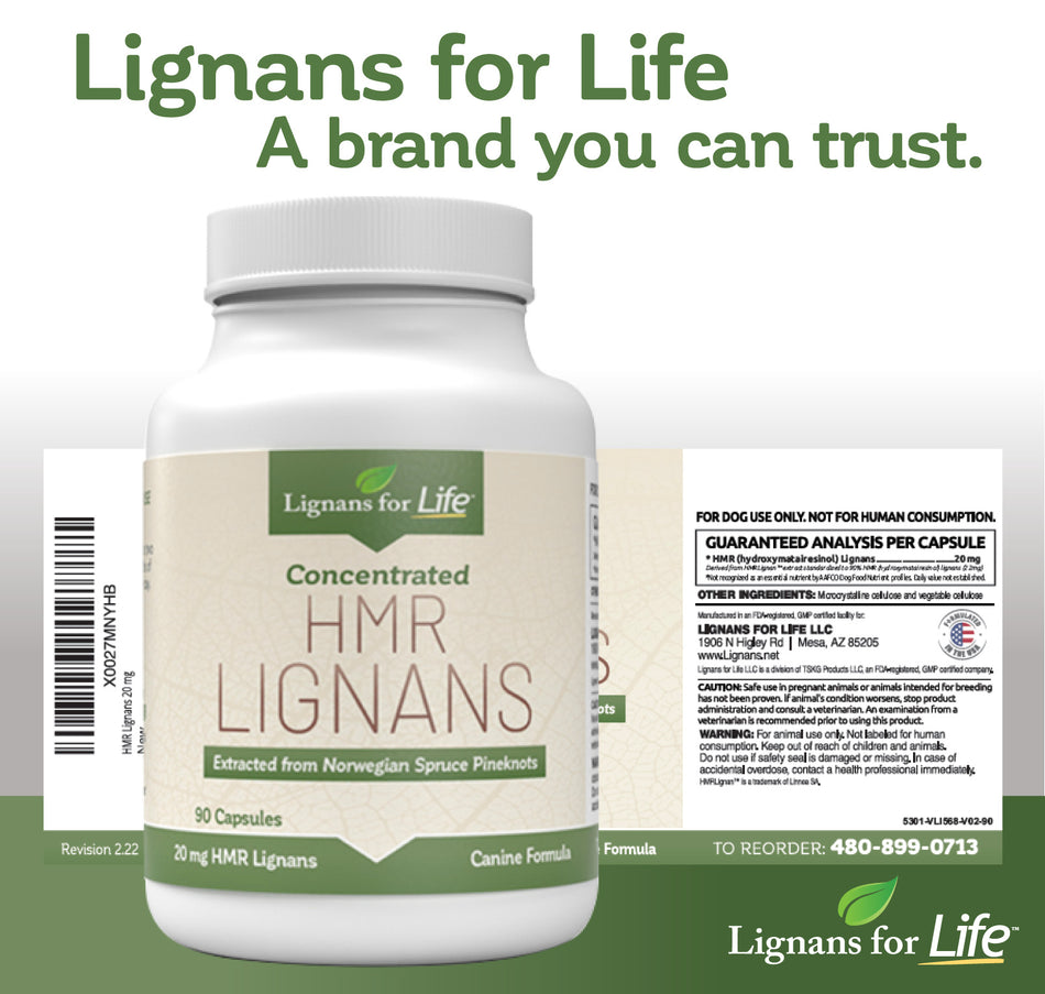 HMR Lignanos 20mg