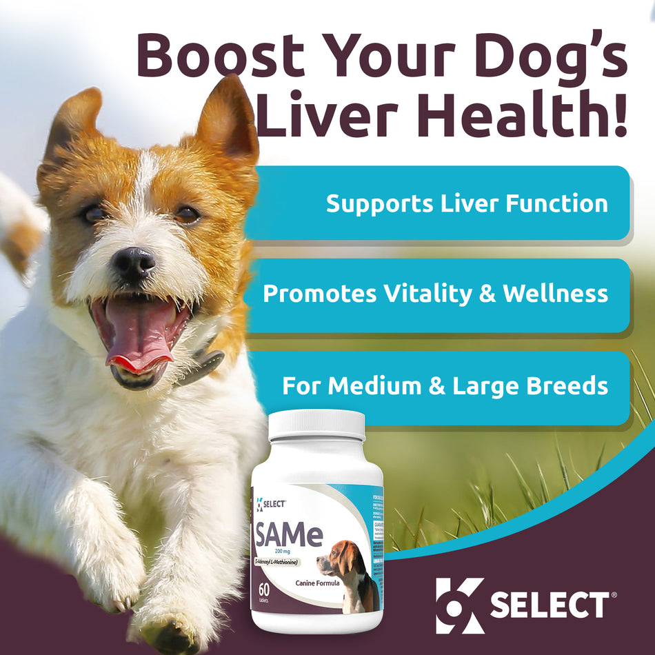 K9 Select SAMe for Dogs - 200 mg Tablets