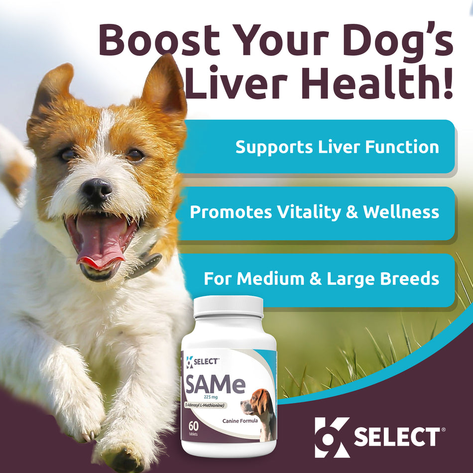 K9 Select SAMe for Dogs - 225 mg Tablets