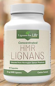 HMR Lignanos 20mg