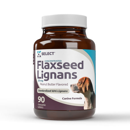 Flaxseed SDG Lignans, 20mg - Peanut Butter Flavored